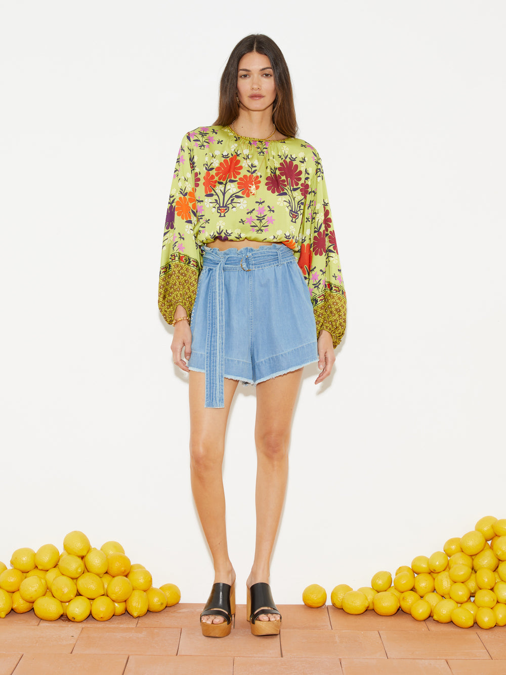 Eden Full Sleeve Crop | Boteh